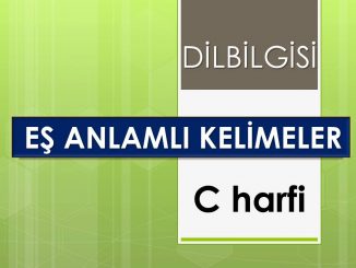 Eş anlamlı kelimeler